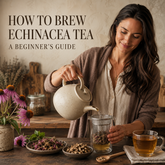 How to Brew Echinacea Tea: A Beginner's Guide