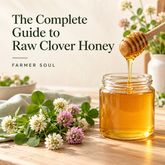 The Complete Guide to Raw Clover Honey