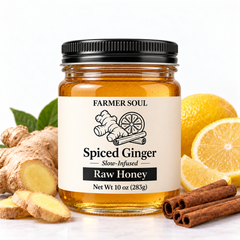 Spiced Ginger Raw Clover Honey Infusion