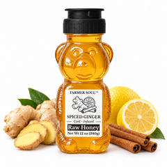 Spiced Ginger Raw Clover Honey Infusion