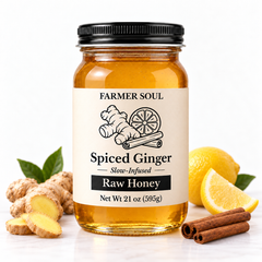 Spiced Ginger Raw Clover Honey Infusion