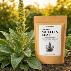 Organic Mullein Loose Leaf Herbal Tea