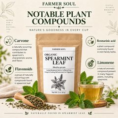 Organic Spearmint Loose Leaf Herbal Tea