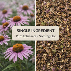 Organic Echinacea Loose Herbal Tea