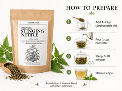 Organic Stinging Nettle Loose Leaf Herbal Tea