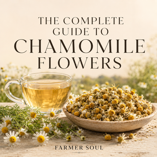 The Complete Guide to Chamomile Flowers