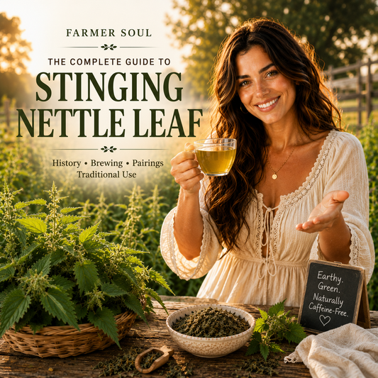Woman enjoying stinging nettle tea in a sunlit herb garden beside fresh nettle plants for The Complete Guide to Stinging Nettle Leaf by Farmer Soul