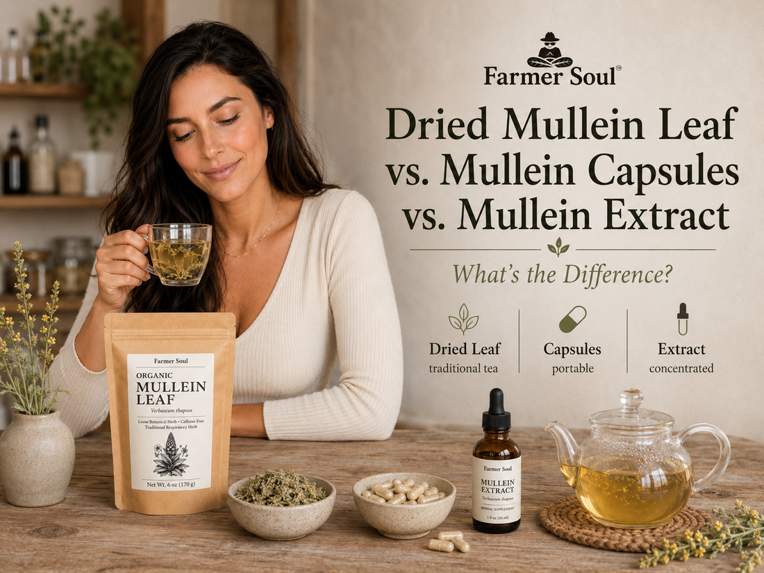 Woman holding mullein tea beside Farmer Soul organic mullein leaf pouch, dried leaf, capsules, liquid extract, and teapot for a comparison of mullein forms.