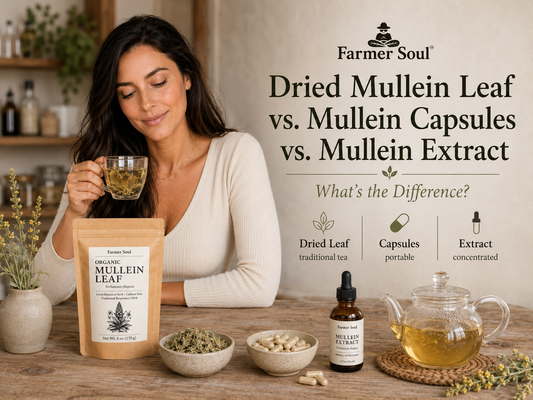Woman holding mullein tea beside Farmer Soul organic mullein leaf pouch, dried leaf, capsules, liquid extract, and teapot for a comparison of mullein forms.