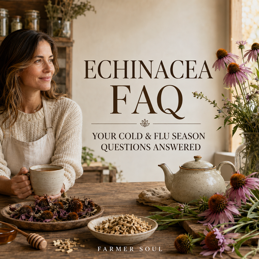 Echinacea FAQ: Your Cold & Flu Season Questions Answered