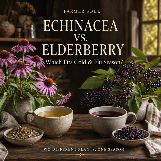 Echinacea vs. Elderberry: Which Fits Cold & Flu Season?