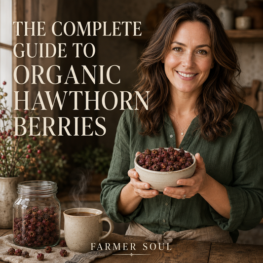 Woman holding a bowl of whole dried organic hawthorn berries in a warm farmhouse kitchen.