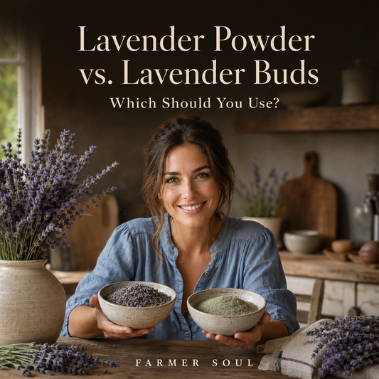 Woman comparing whole lavender buds and greenish-gray lavender powder.