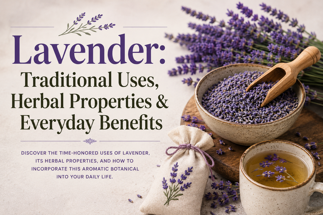 Lavender: Traditional Uses, Herbal Properties & Everyday Benefits