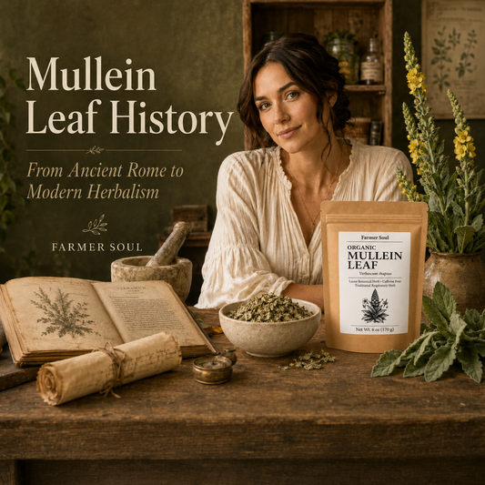 Mullein Leaf History: From Ancient Rome to Modern Herbalism