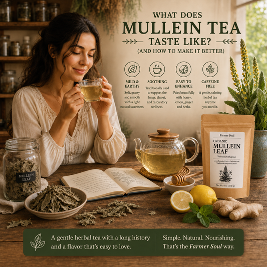 What Does Mullein Tea Taste Like? (And How to Make It Better)