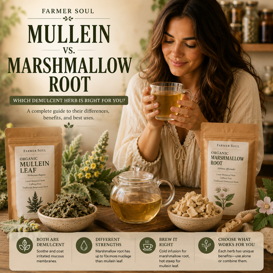 Woman holding herbal tea beside Farmer Soul Mullein Leaf and Marshmallow Root with dried herbs, a glass teapot, and a comparison of their demulcent benefits.