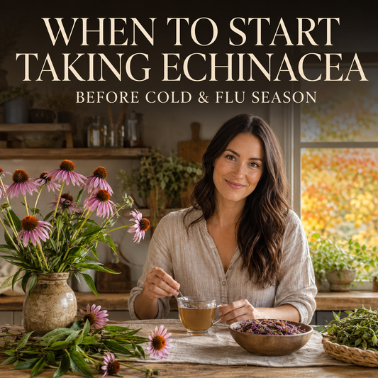 When to Start Taking Echinacea Before Cold & Flu Season