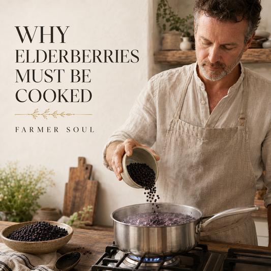 Why Elderberries Must Be Cooked
