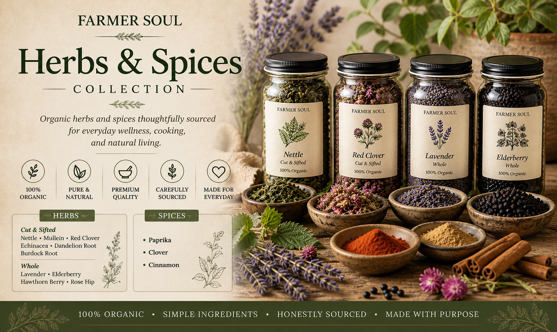 Organic herbs and spices collection banner featuring Farmer Soul botanical products including nettle, red clover, lavender, elderberry, paprika, and cinnamon in rustic glass jars with natural earthy styling.