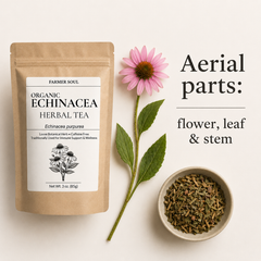 Organic Echinacea Loose Herbal Tea
