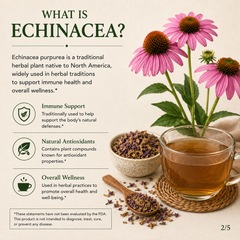 Organic Echinacea Loose Herbal Tea