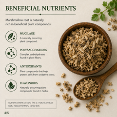 Organic Marshmallow Root Loose Herbal Tea