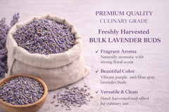 Bulk Culinary Lavender Buds – USDA Certified Organic Dried Lavender Flowers for Tea, Baking, Soap Making & Sachets