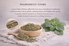 Organic Lemon Balm Loose Leaf Tea | Melissa Officinalis Herb (Caffeine Free)